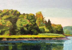 Salt Marsh