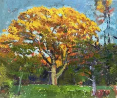 Witness tree