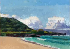 Walmea Bay